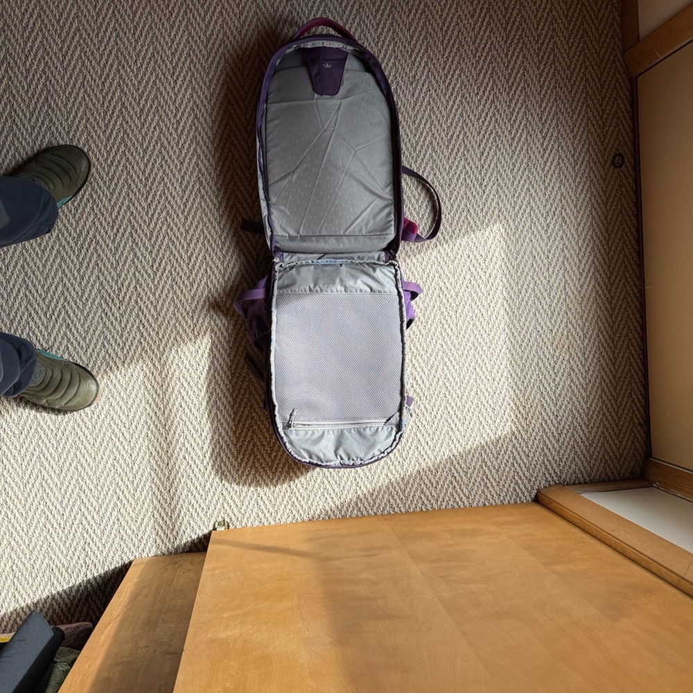 Osprey Purple Laptop Backpack - Picture 5 of 7